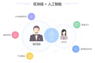 喜推智能CRM系統(tǒng) 賦能代賬公司，開啟企業(yè)管理服務(wù)高效新時(shí)代
